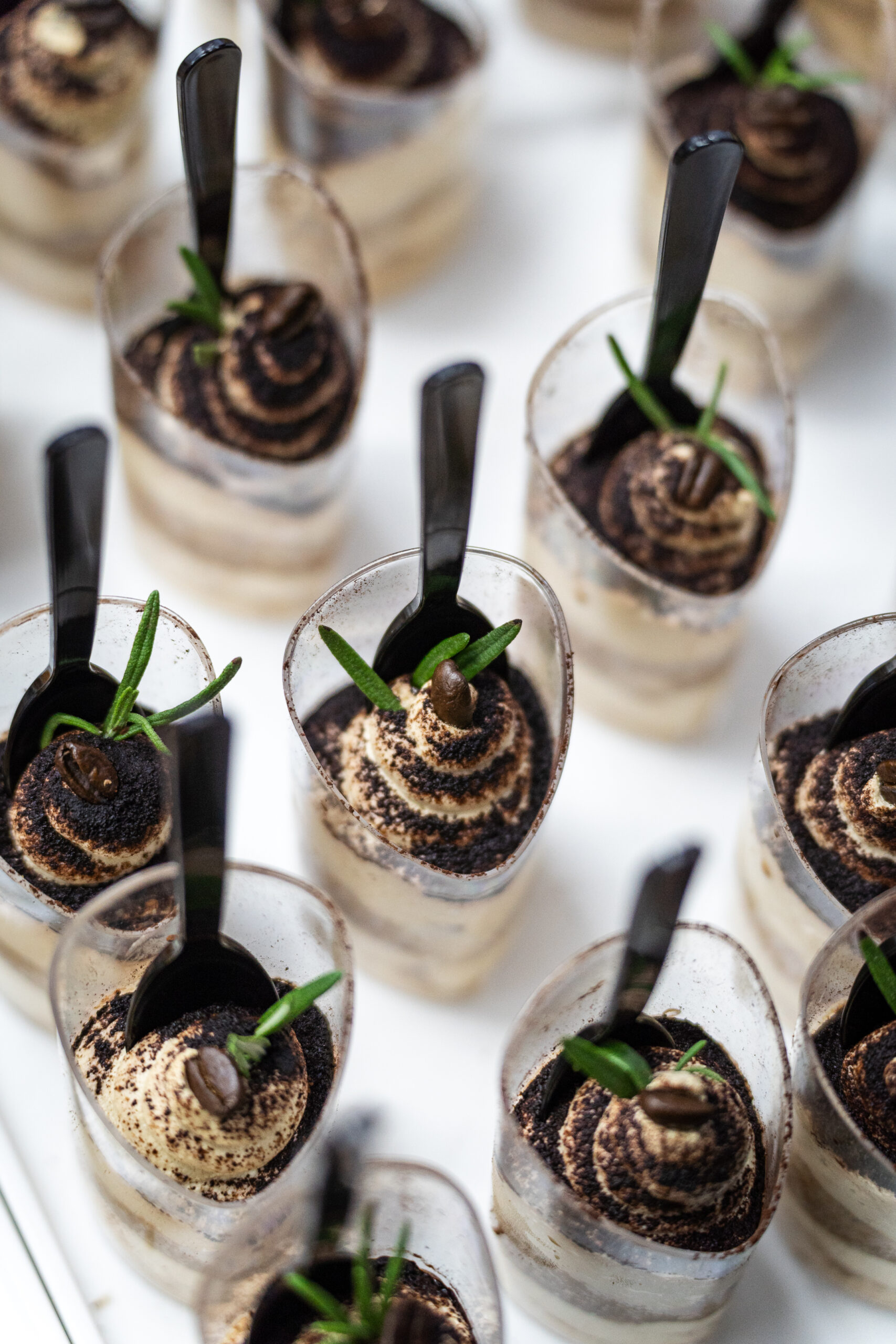 Tiramisu in cCups served for walk around canape catering